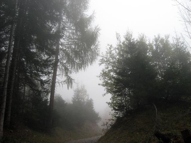 Seegrube : Im Nebel so der Herbst