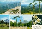 Tiers (BZ) /  Korblift Laurin I+II, Passo Nigra : welschnofen_cestovia_laurin_ca_1975_c_foto_fraenzl_kaltern.JPG