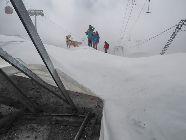 Unter dem weißen Teppich : 2018_08_11 Stubaier Glatescher Liftology 218.jpg