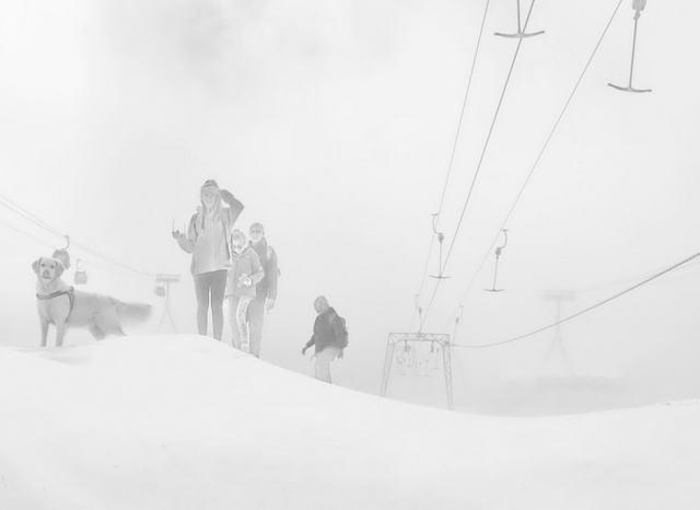 Wie aus dem Prospekt : Mit Hund. Wobei der mehr spielte als alles andere. Dennoch beschloss auch ich, aber hier um zudrehen, und wieder zur hinab Richtung Station Eisgrat zu gehen.