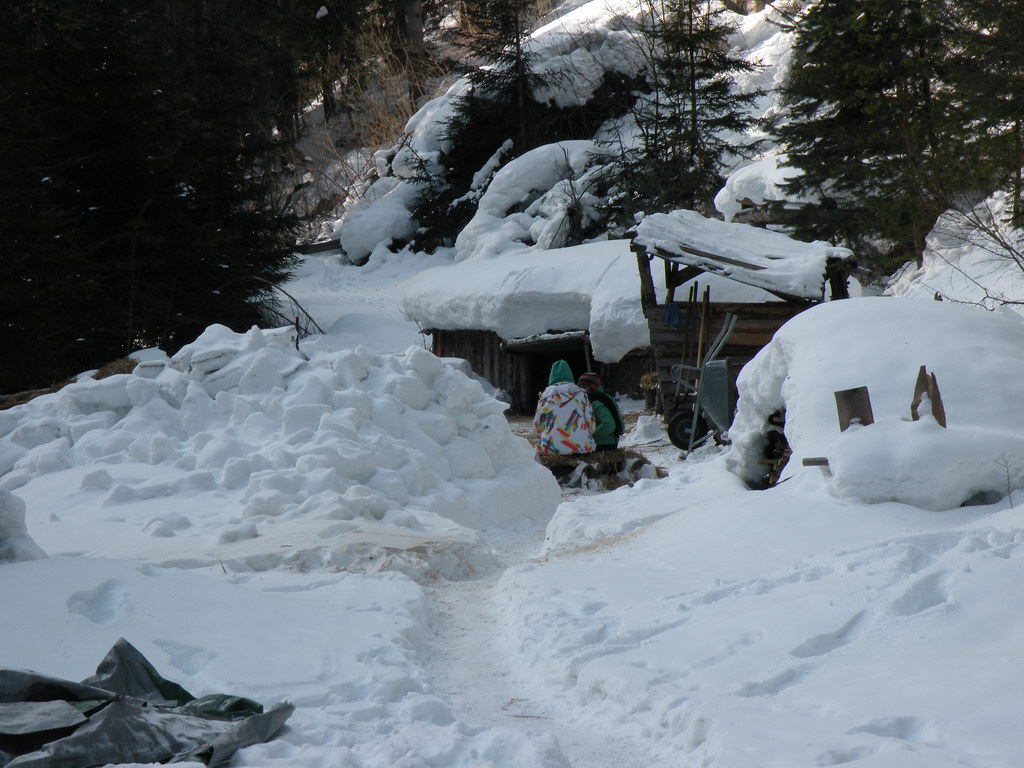 Random images - Peace Studies WT 2011 : DSCN3342.JPG